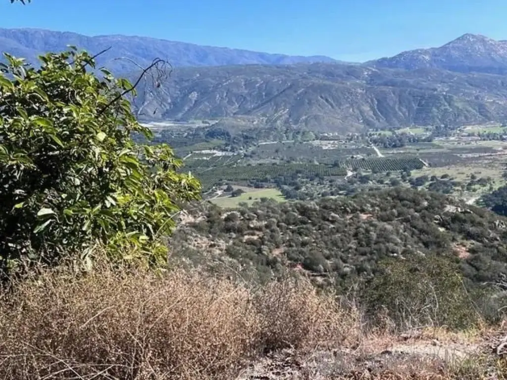 Picture 20