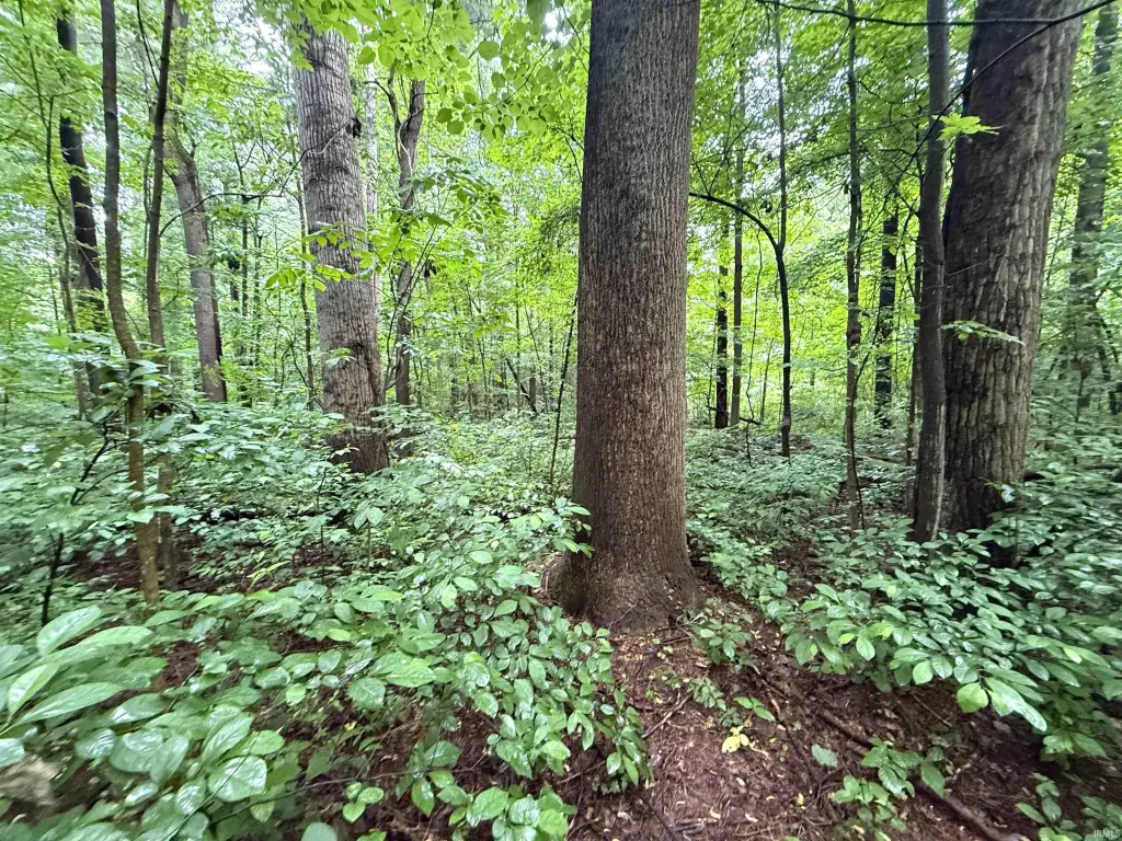 Picture 16