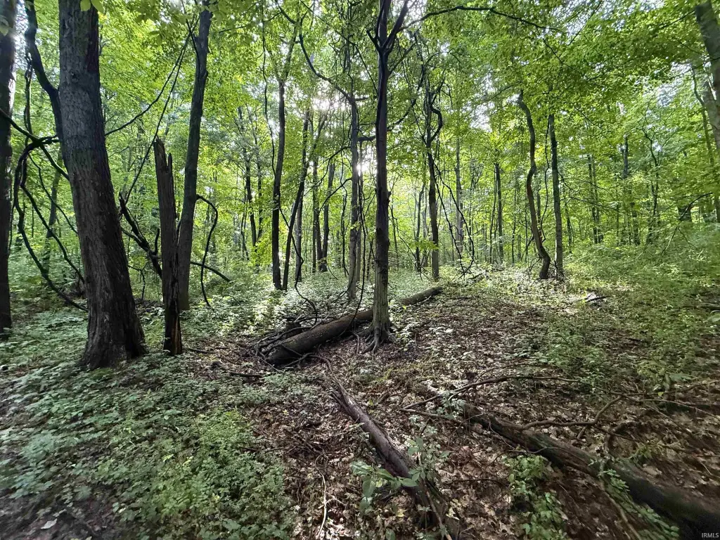 Picture 23