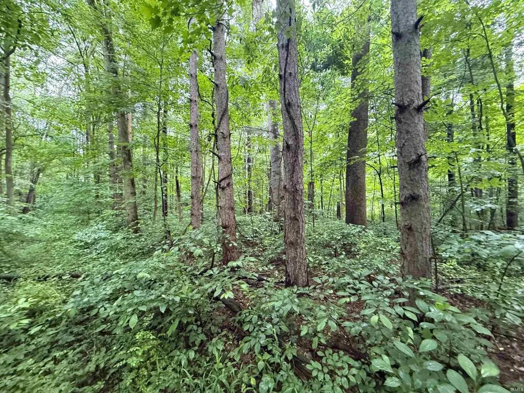 Picture 15
