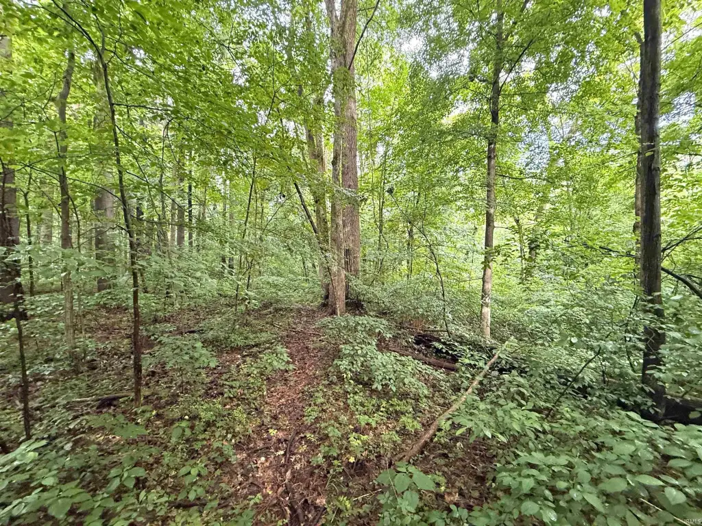 Picture 19