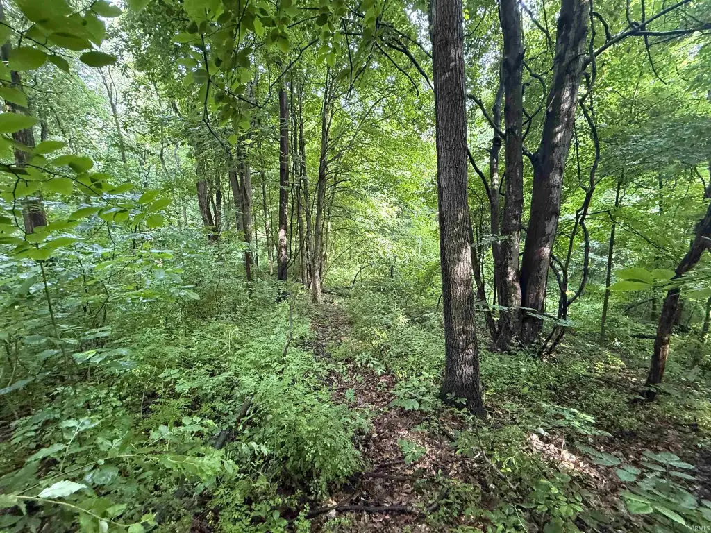Picture 22