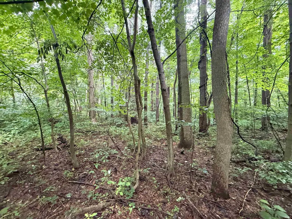 Picture 18