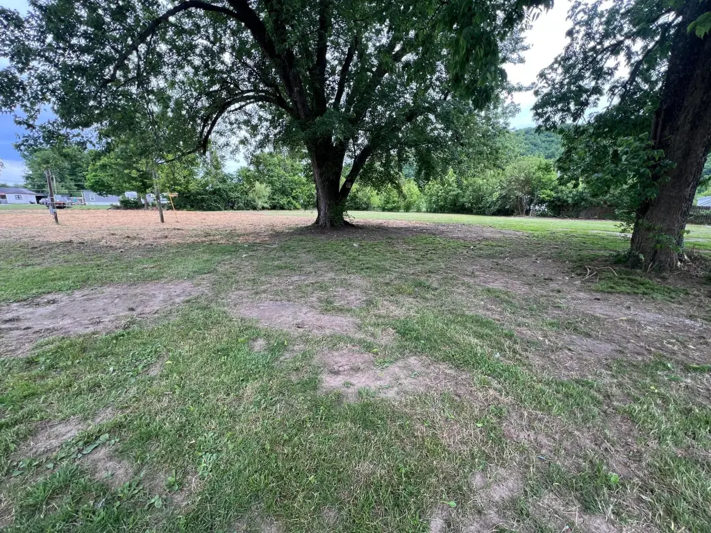Picture 7