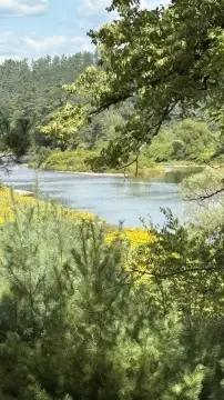 Riverfront Land in White Mountains