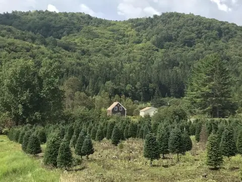 245 Acres Land in Stewartstown