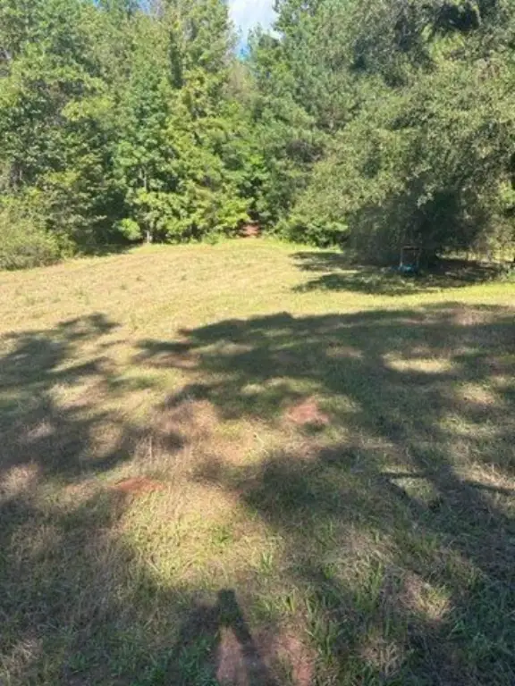 Picture 13