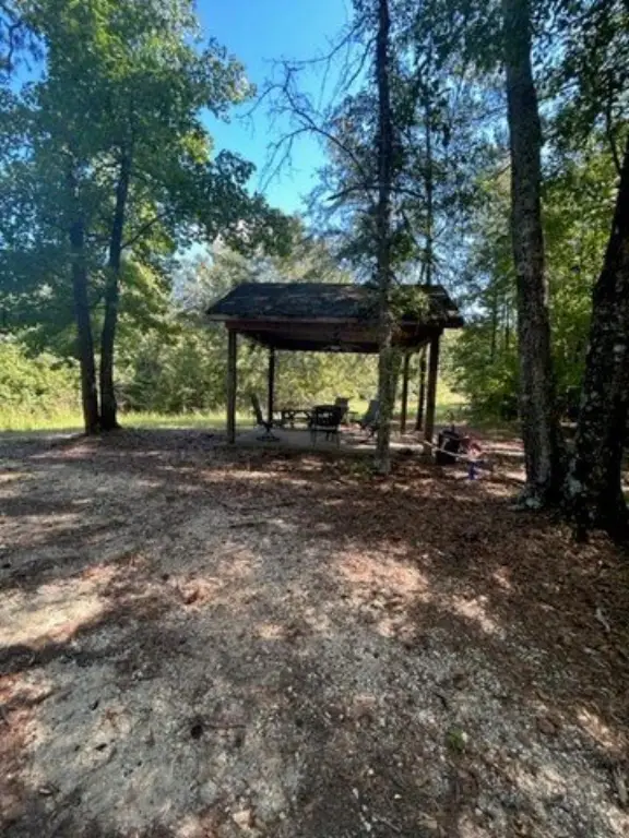Picture 10