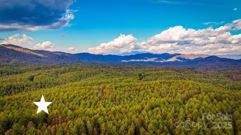 Land in Blue Ridge Foothills