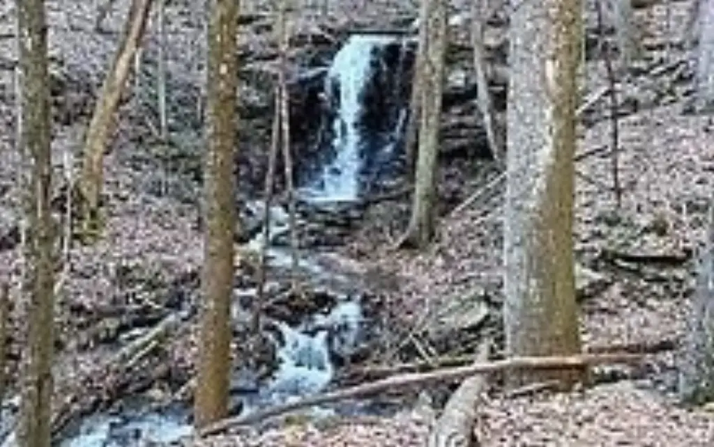 Picture 6