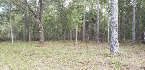 Residential Land in Flagler Estates