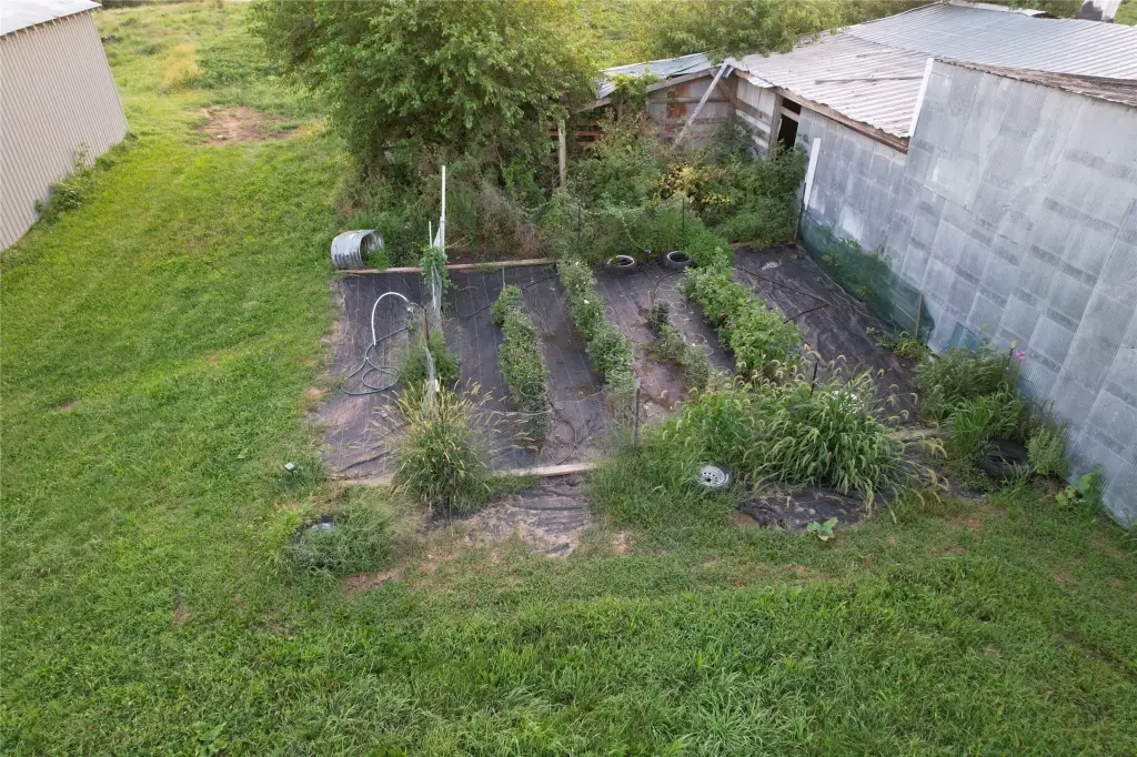 Picture 16