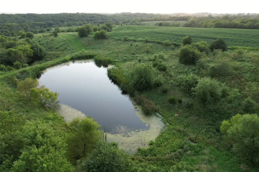 Picture 25