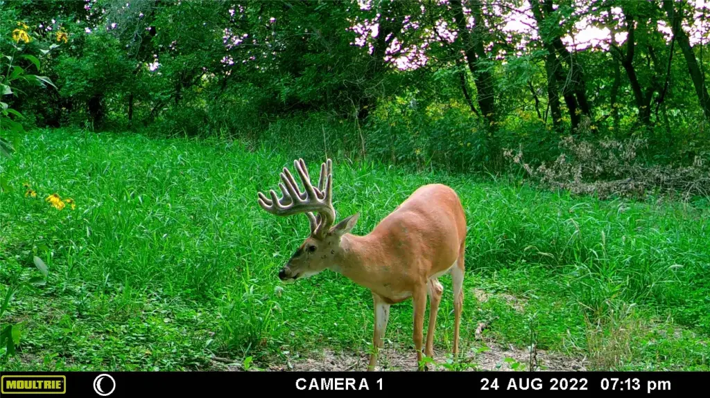 Picture 20