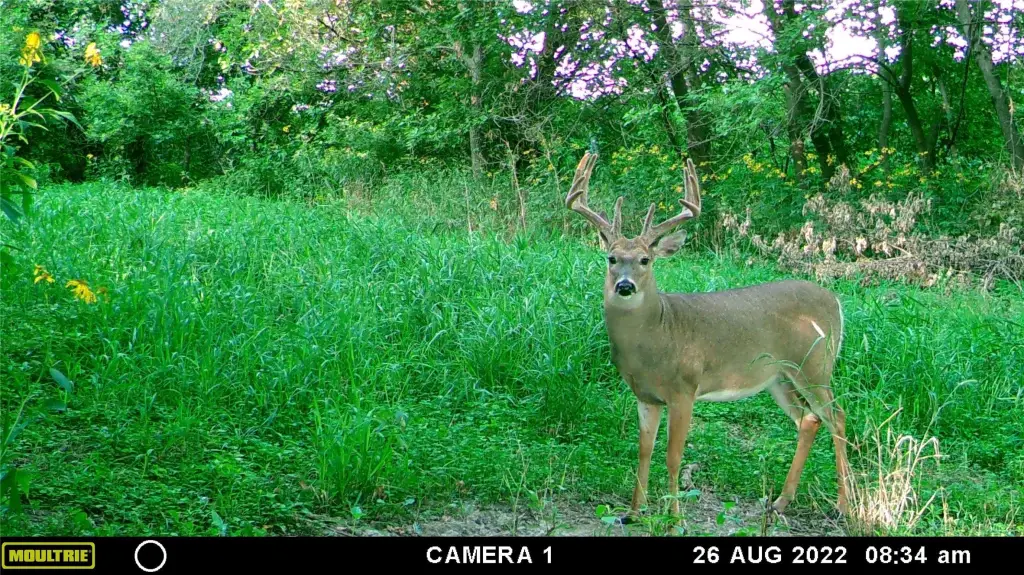 Picture 21