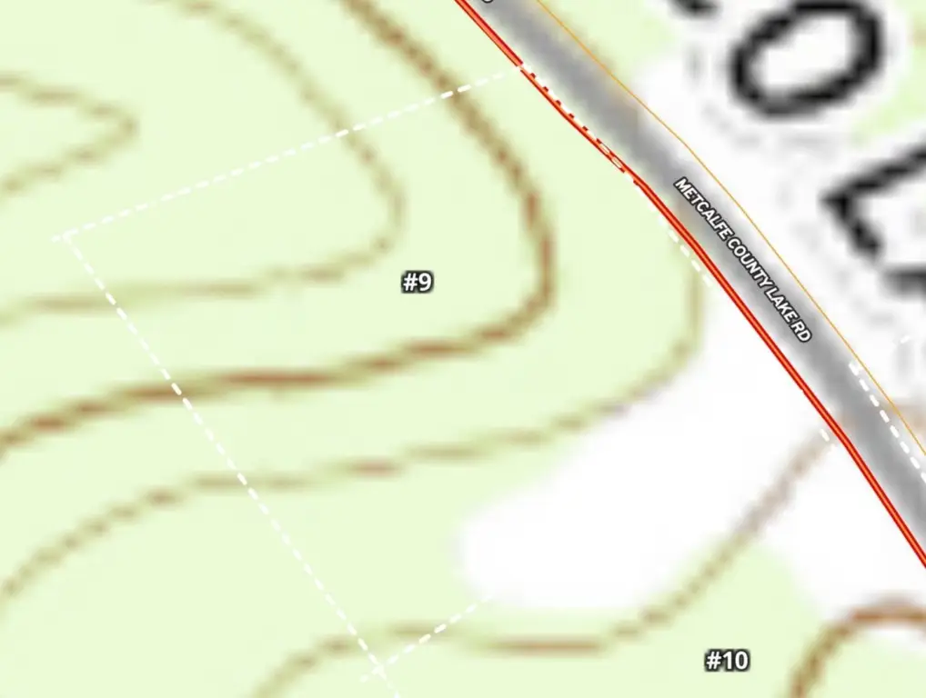 Picture 5