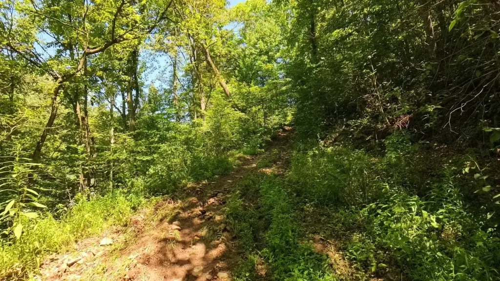 Picture 20