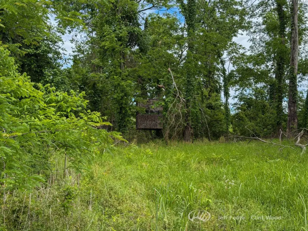 Picture 25