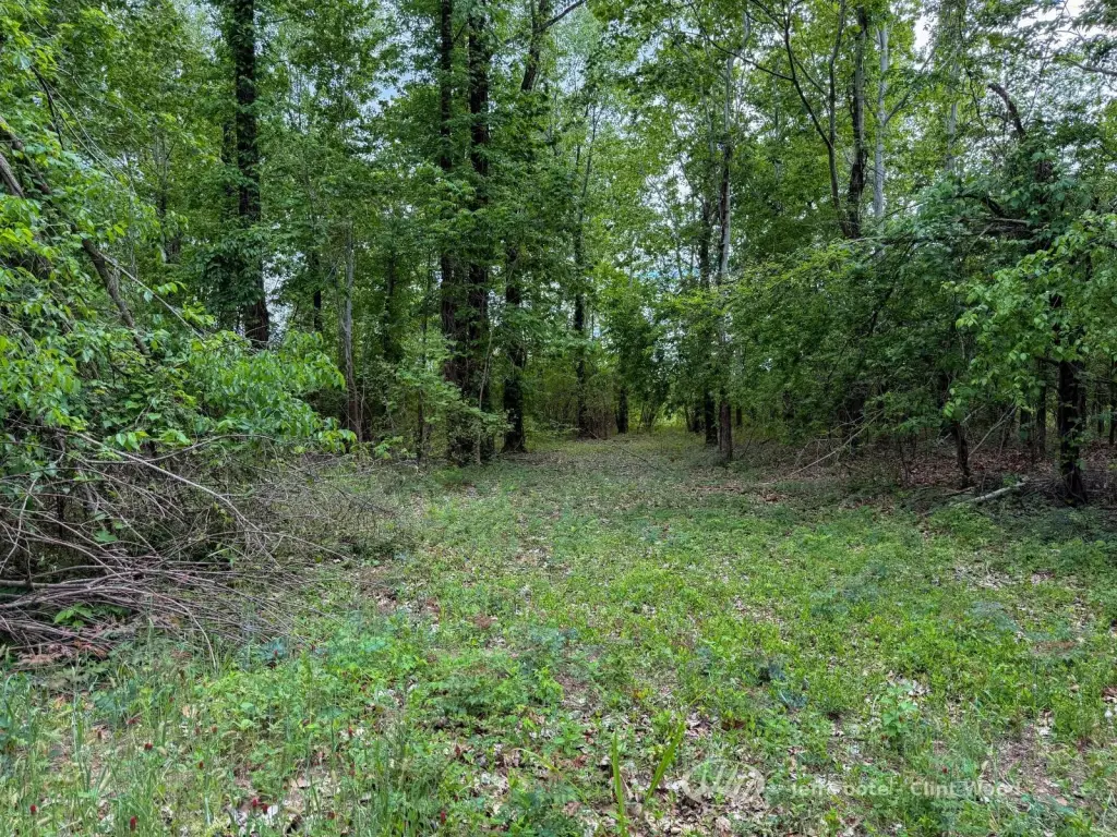 Picture 31