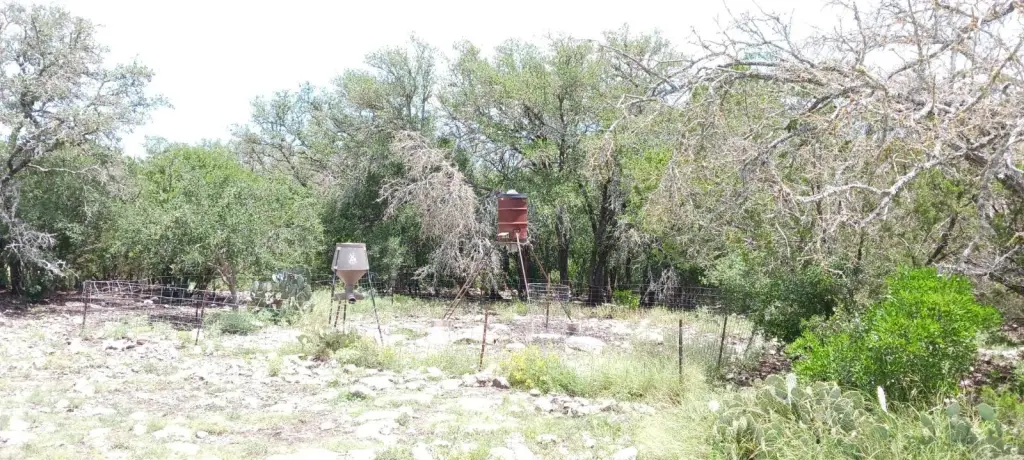 Picture 18