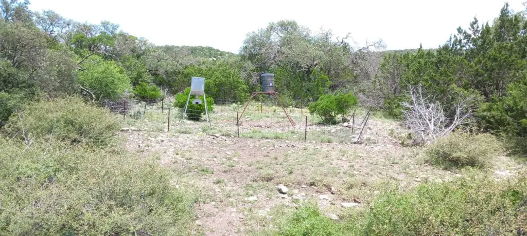 Picture 27