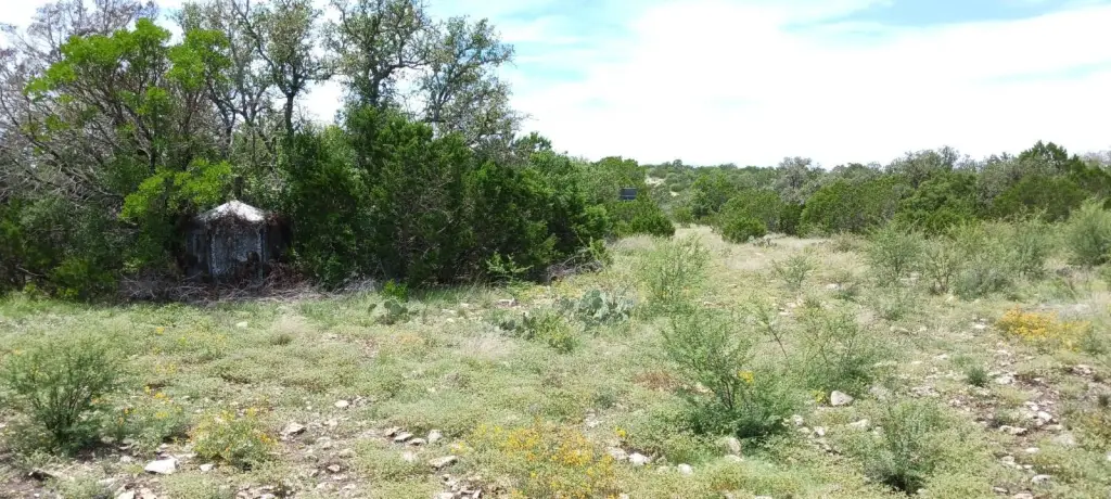 Picture 19