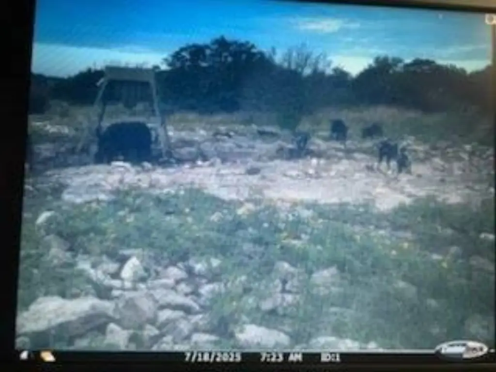 Picture 47