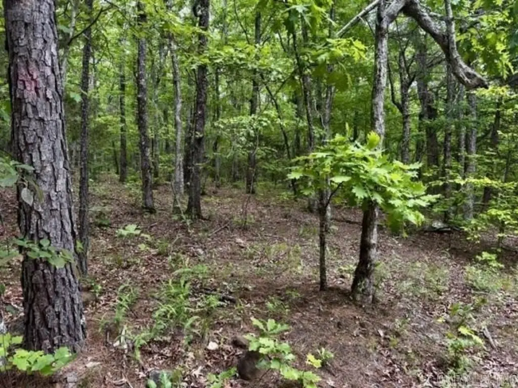 Picture 10