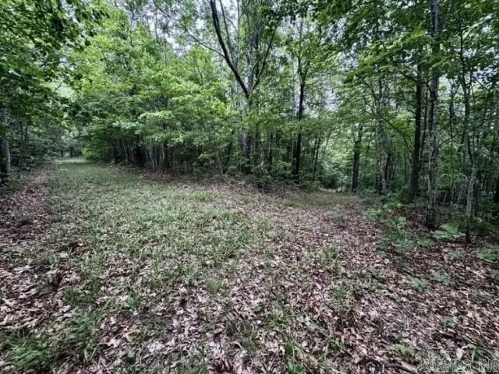 Picture 8