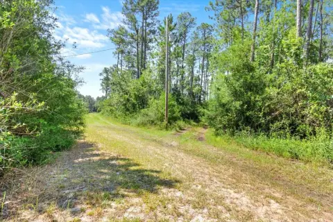 Seminole, AL Land Opportunity