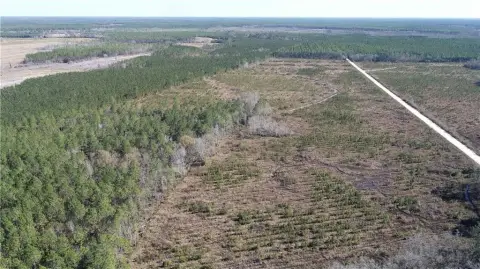 Wayne County Hunting and Timber