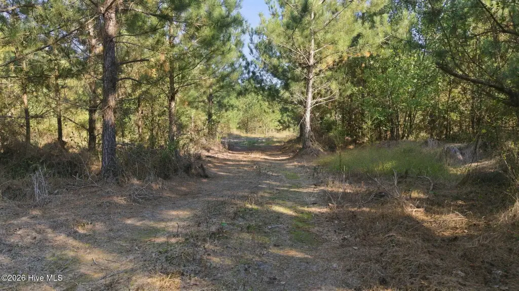 Picture 16