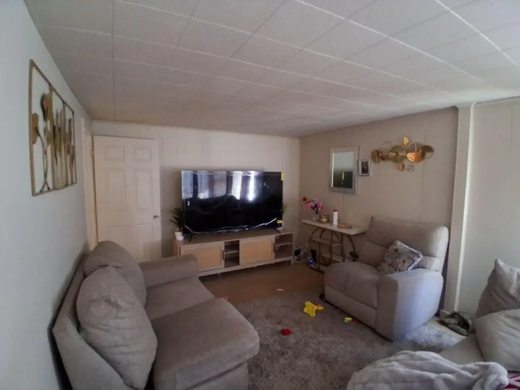 Picture 8