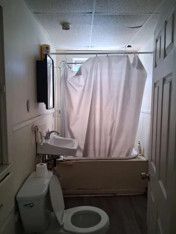 Picture 14