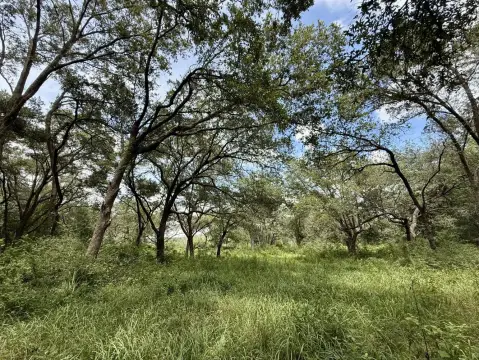 Grand Bay Vacant Land Opportunity