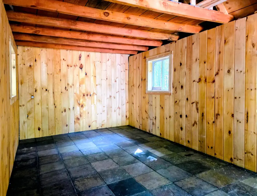 Picture 5