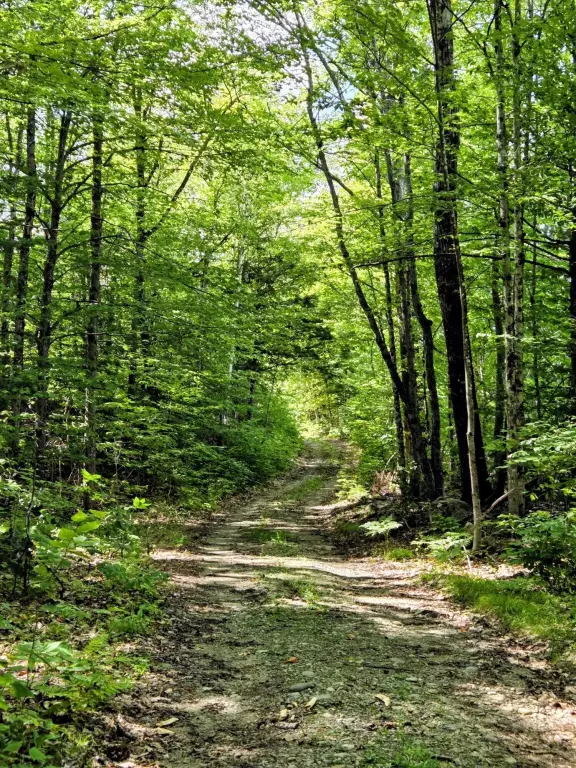 Picture 30