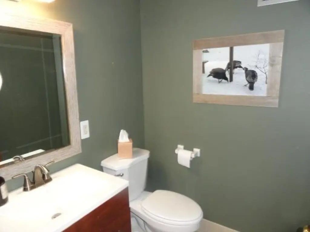 Picture 31