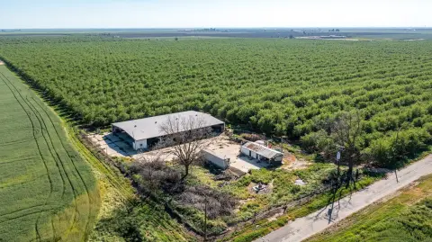 Producing Almond Ranch in Chowchilla