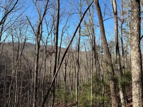 Suches, GA Vacant Lot