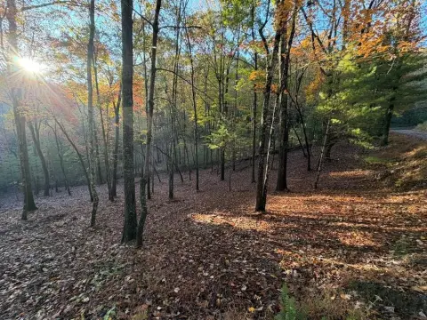 1.95-Acre Lot Near Blue Ridge
