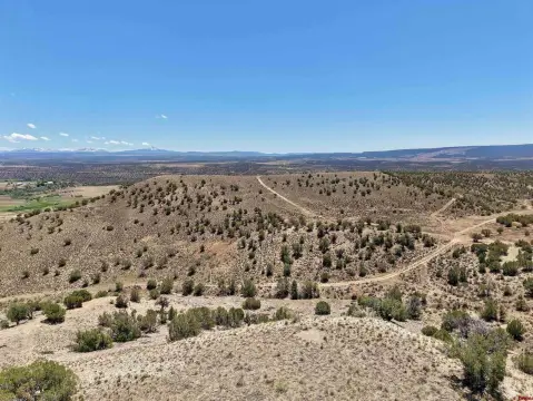 Multi-Parcel Hunting Land