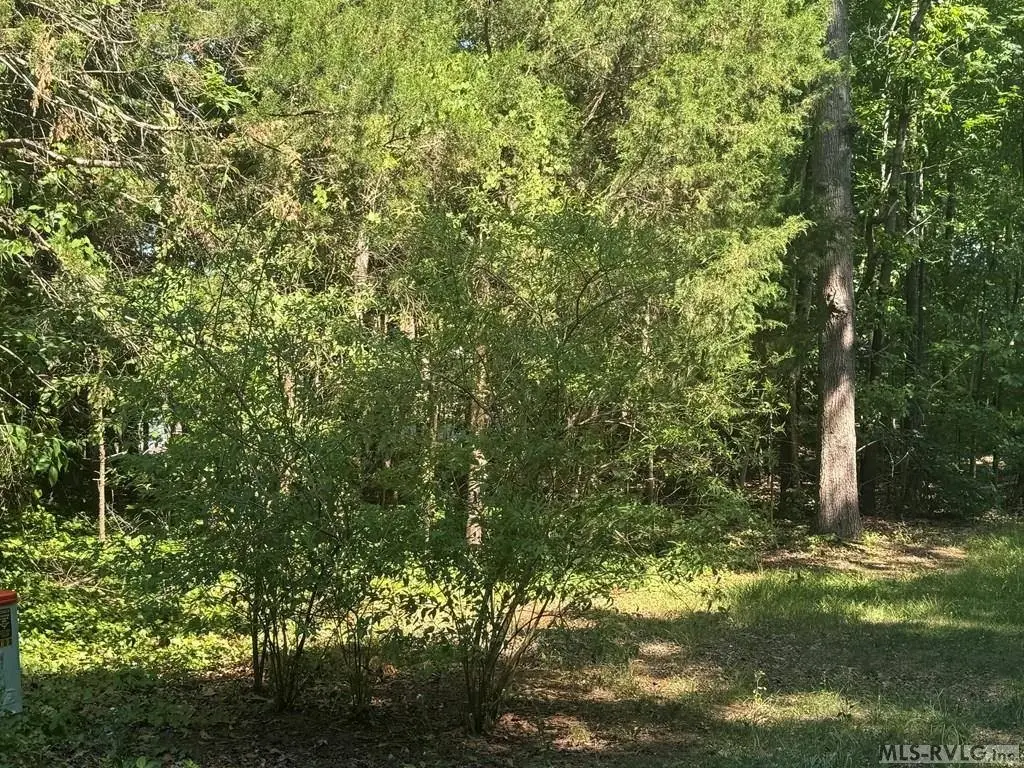 Picture 24