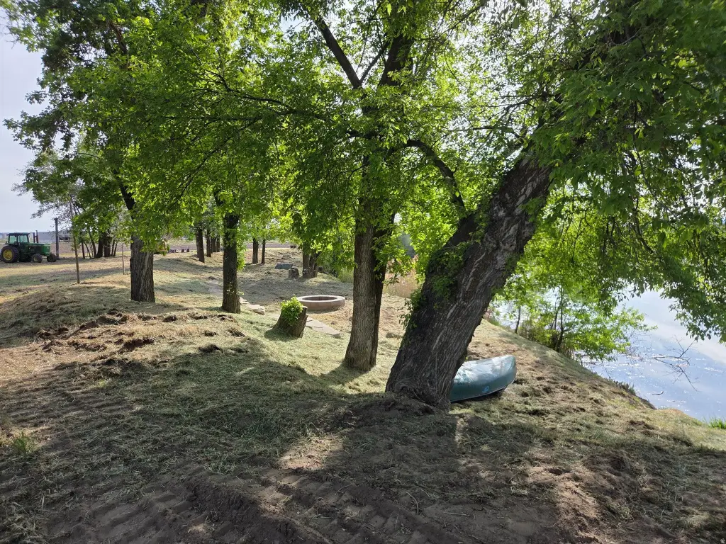 Picture 43