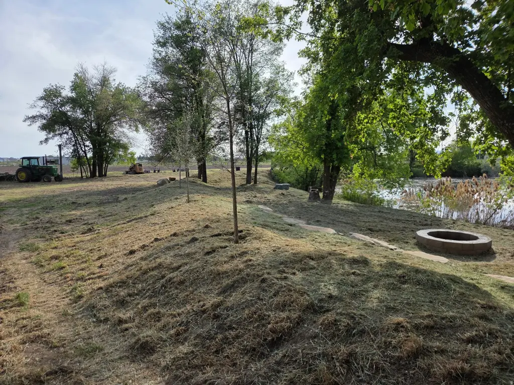 Picture 44