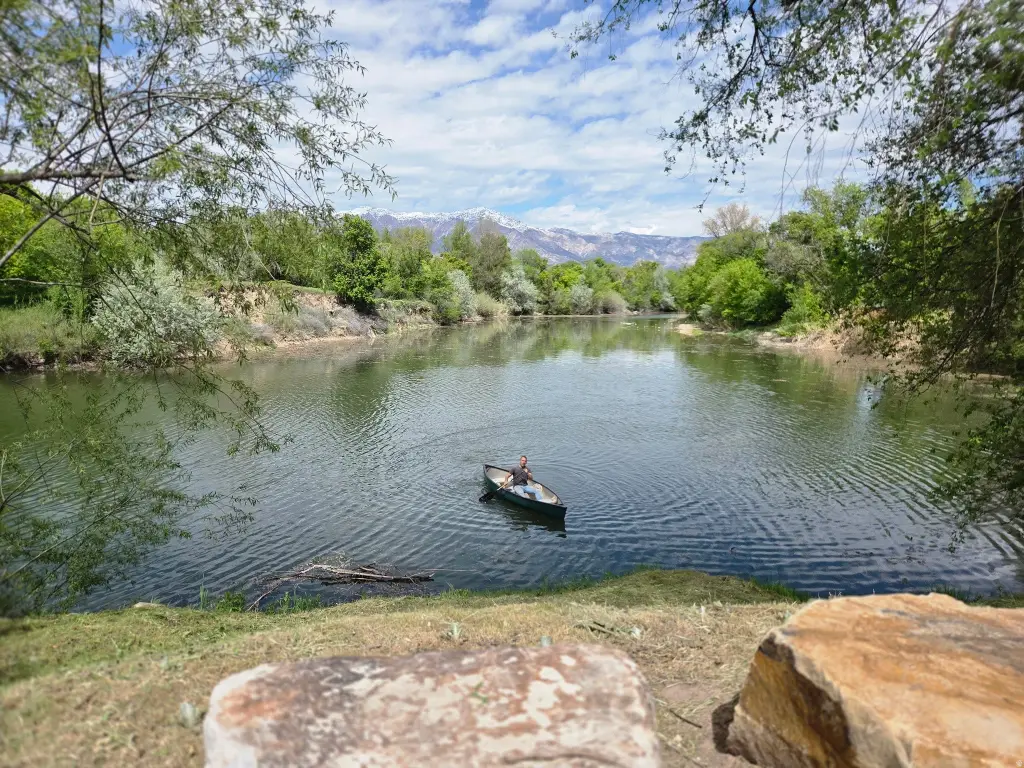 Picture 22