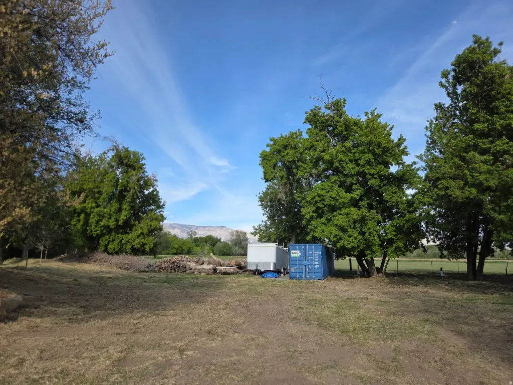 Picture 49