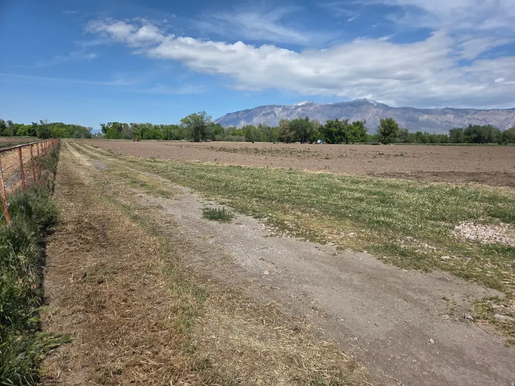 Picture 23