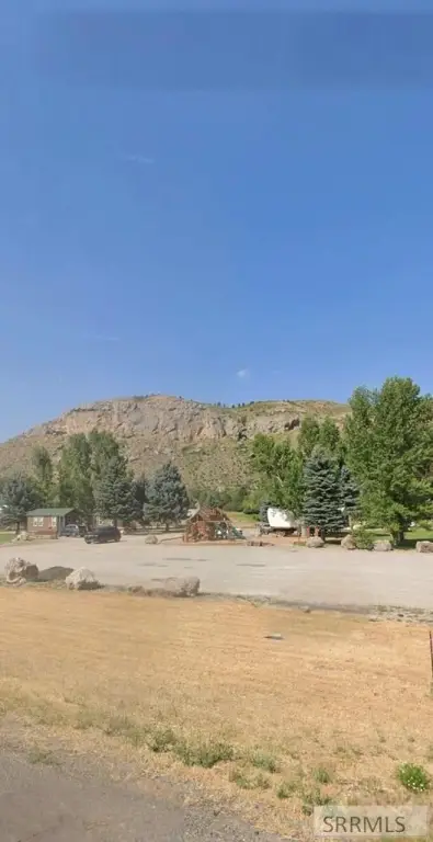 Picture 8