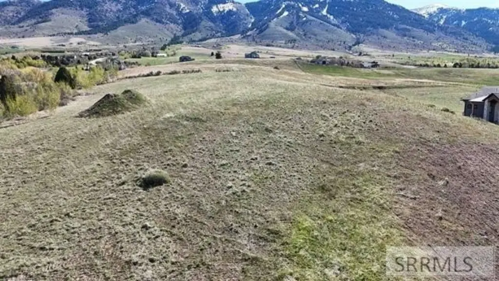 Picture 28